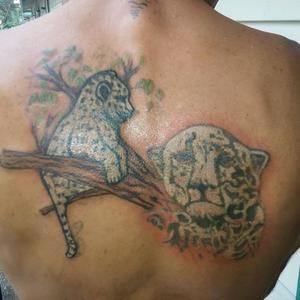 Meet your Posher, Bryan